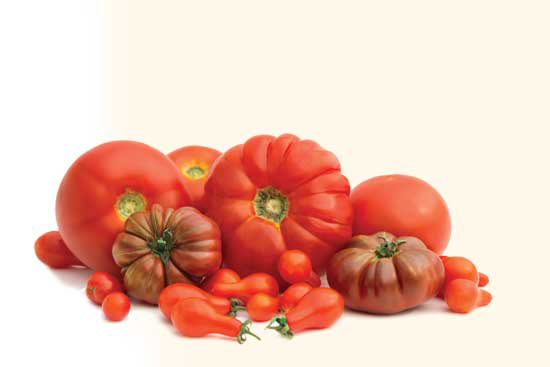 With the assistance of the MOTHER EARTH NEWS Vegetable Garden Planner, reader Caroline Graettinger of Canonsburg, Pa., has implemented crop rotations, kept tabs on her garden’s most productive yielders, and tried a trove of new tomato varieties.